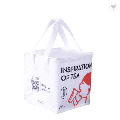 Un buen precio. Bolsa de refrigeración de aislamiento térmico personalizada puede para picnic en línea