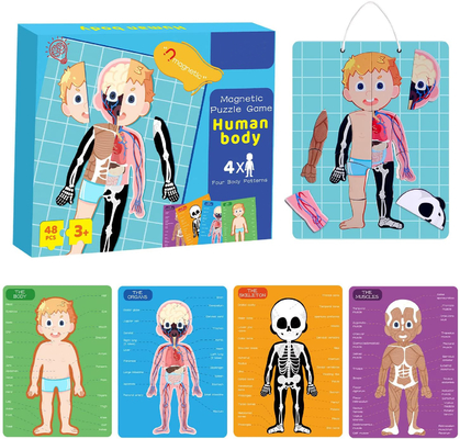 48pcs Educativo Magnético Cuerpo Humano Jigsaw Puzzle juguetes para niños de 3 años de edad